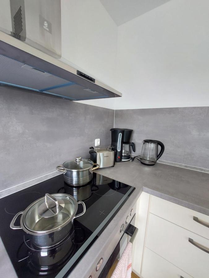 Moderne Wohnung Mit Vollausstattung In Ruhiger Lage, W-Lan Grossrohrsdorf Esterno foto